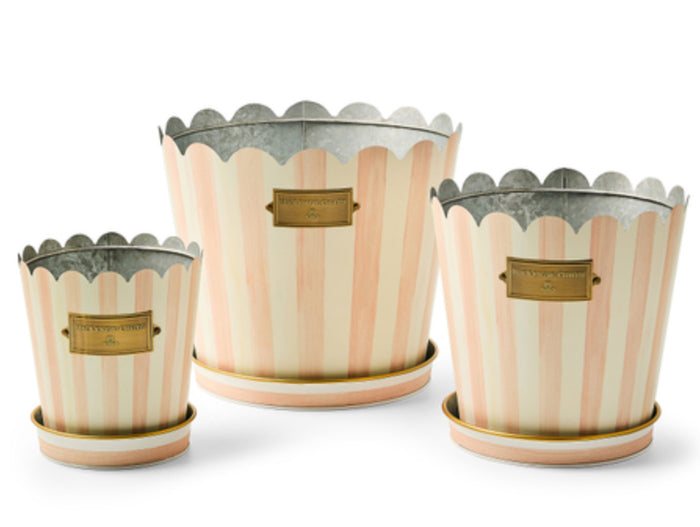 Rosy stripe pots & saucers