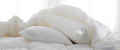 Scandia Bergen Down-Free Pillow (Down alternative)