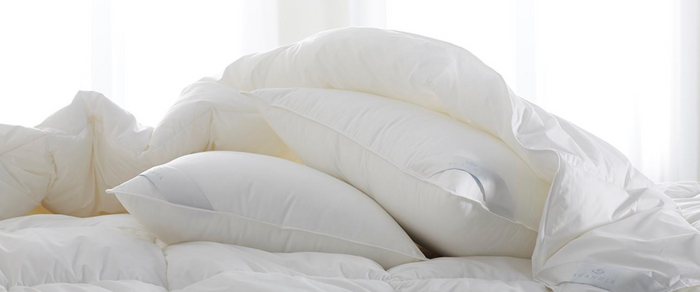 Scandia Bergen Down-Free Pillow (Down alternative)
