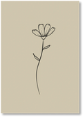 Seed Of Faith - Print