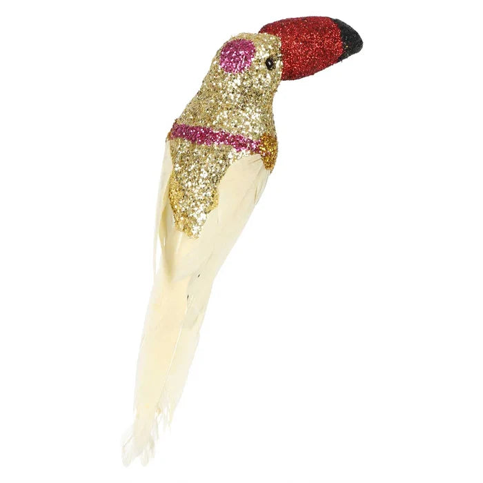 Shazza Clip On Toucan - Gold