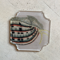 Snail Coasters , Set of Four