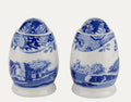 Spode Blue Italian Salt & Pepper Set