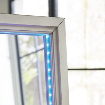 Standing floor mirror with storage