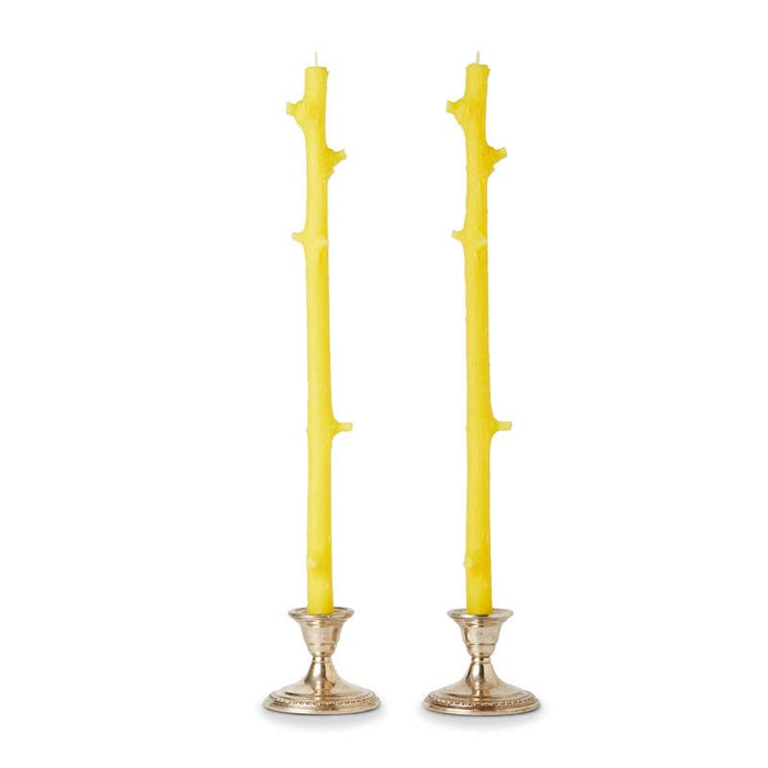 Stick Candles Hemlock / Pair: White Chocolate