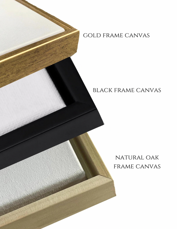 Swan - Canvas