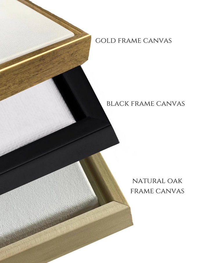 Frame Options