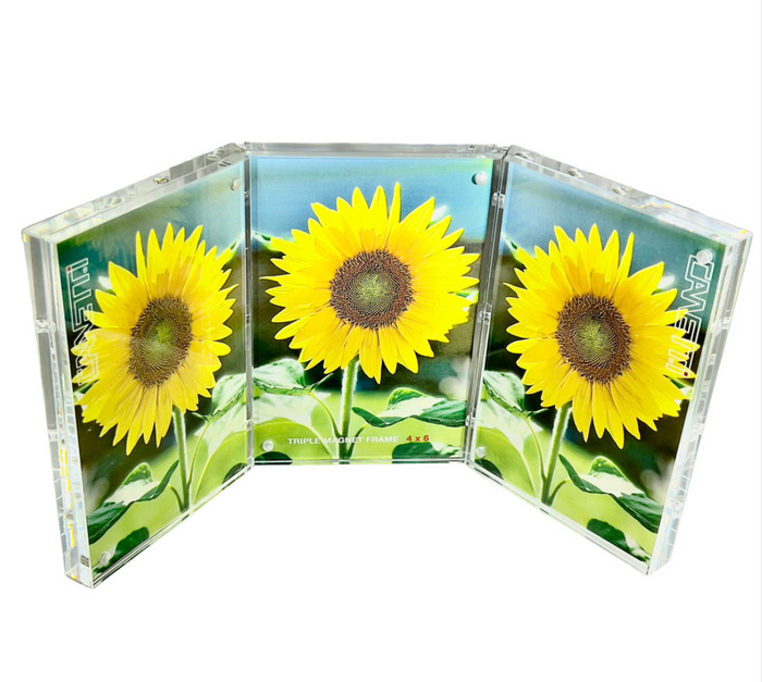 Triple Magnet Frame - 4x6 (vertical)