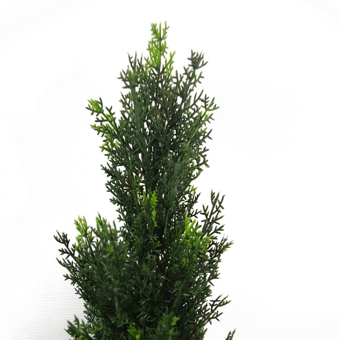UV Cedar Topiary Tree 36”