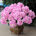 UV Pink Hydrangea Bush with 7 Silk Flowers & Foliage