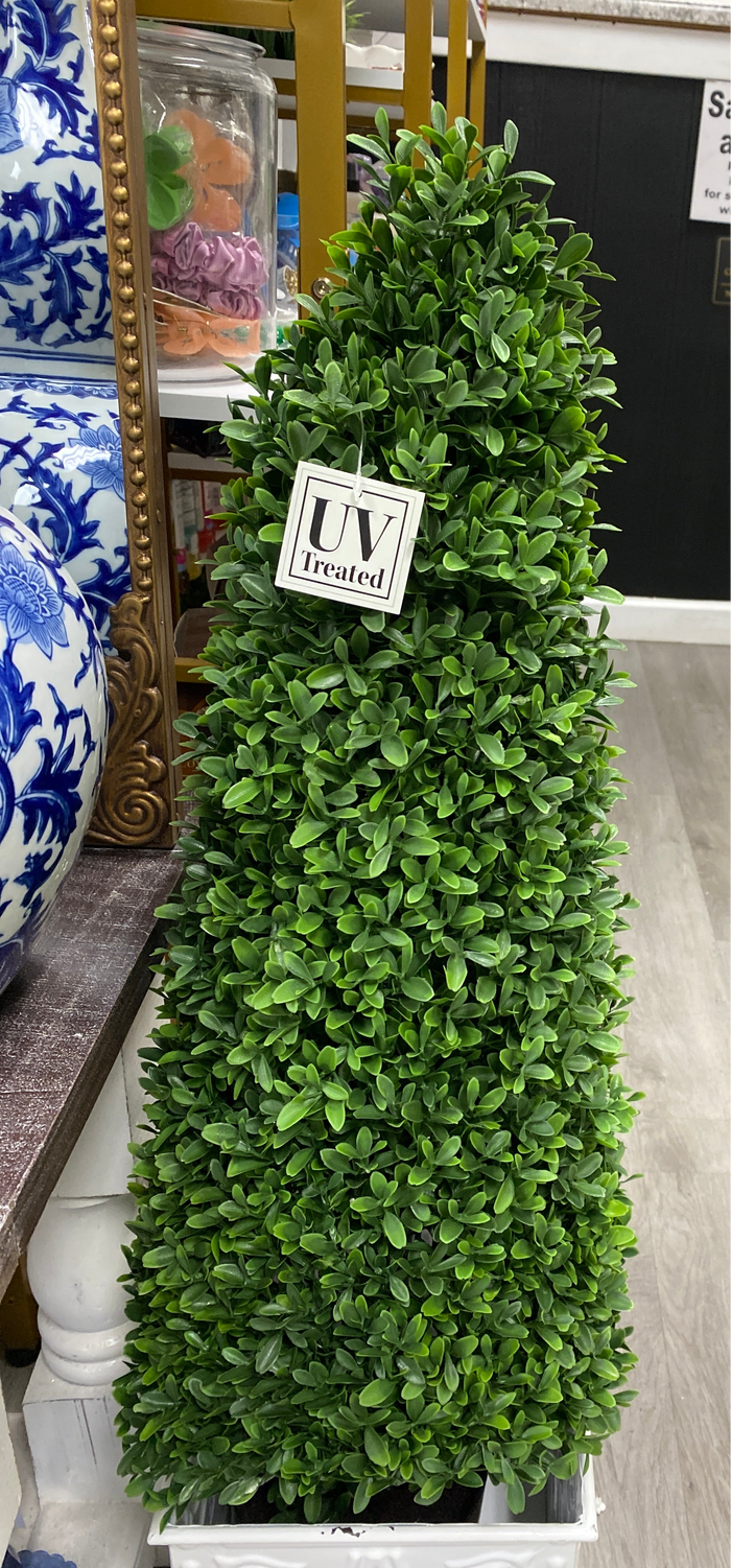 UV rated American boxwood come topiary 37”