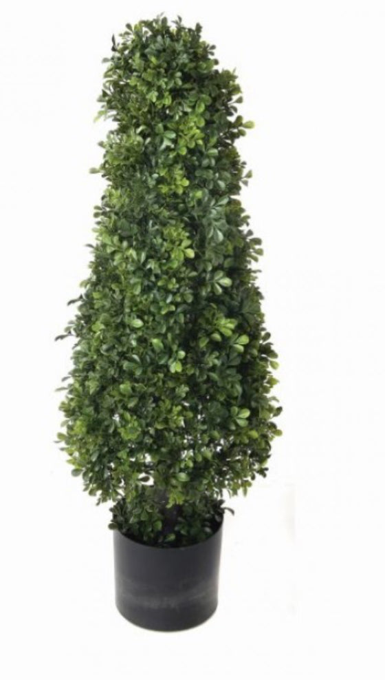 UV rated American boxwood come topiary 37”