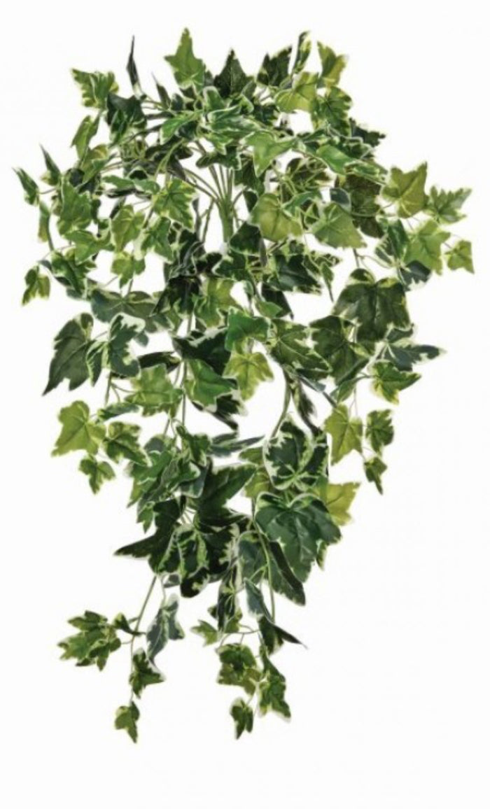 UV TREATED HANGING IVY BUSH 29"