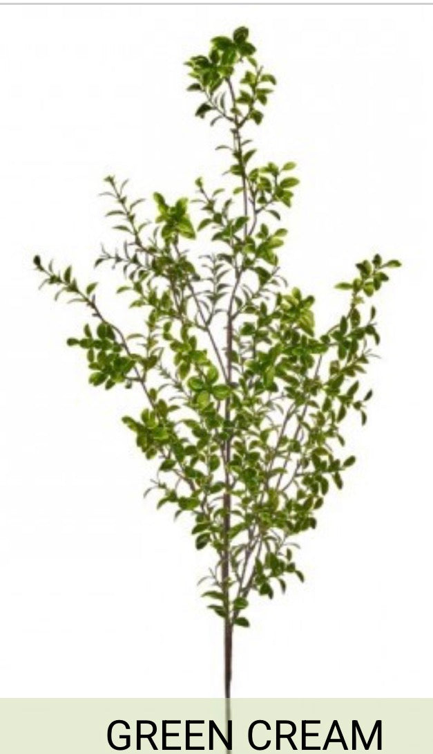 VARIAGATED BOXWOOD BRANCH 48"