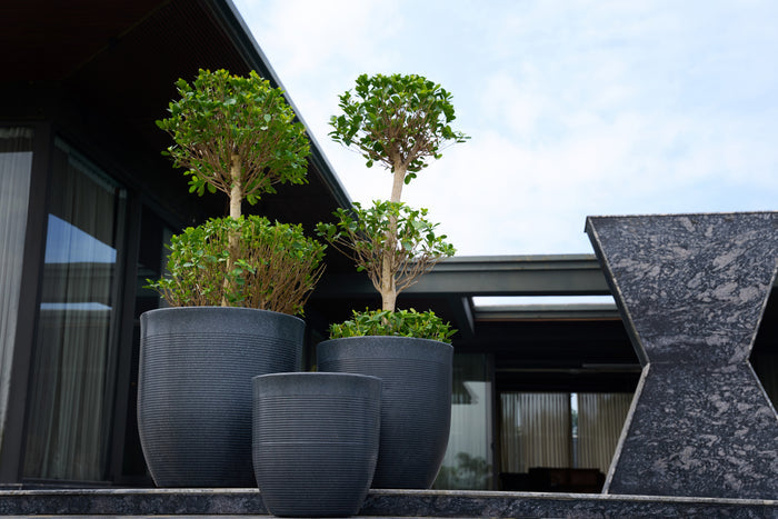 Greenri Vetro indoor & outdoor planter - product view 3