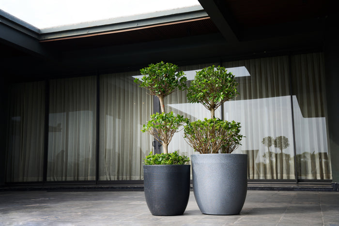 Greenri Vetro indoor & outdoor planter - product view 5