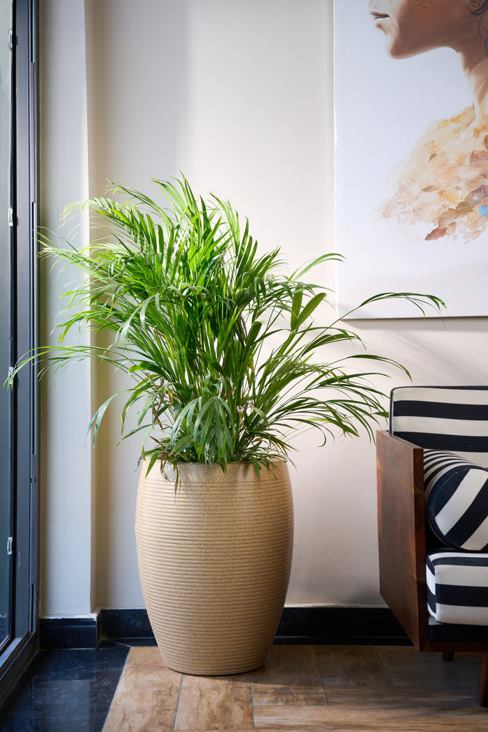 Greenri Vetro Vase decorative tall planter - product view 1