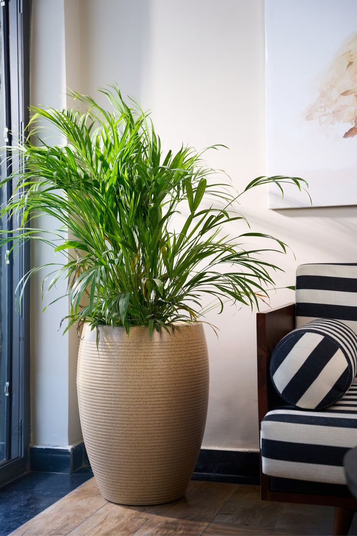 Greenri Vetro Vase decorative tall planter - product view 2