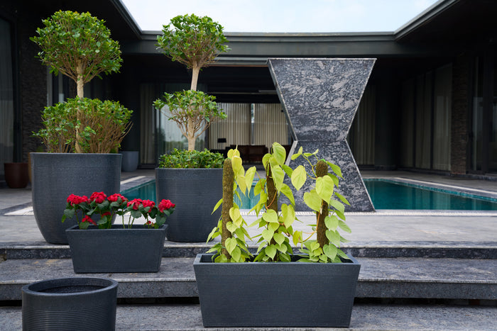 Greenri Vetro Window window planter - product view 2