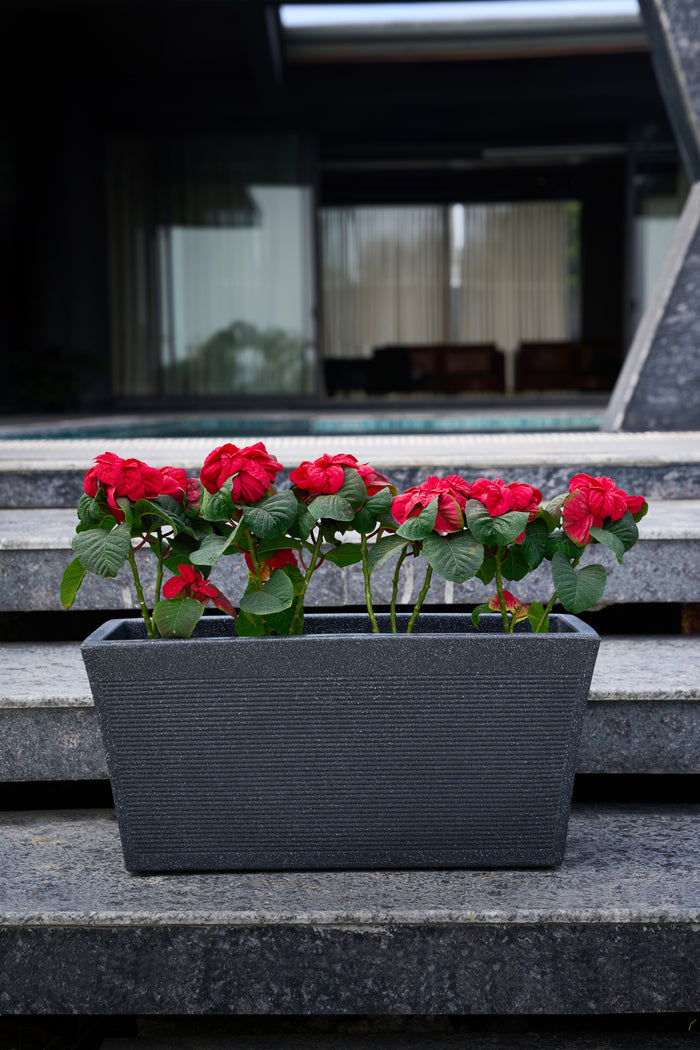 Greenri Vetro Window window planter - product view 4