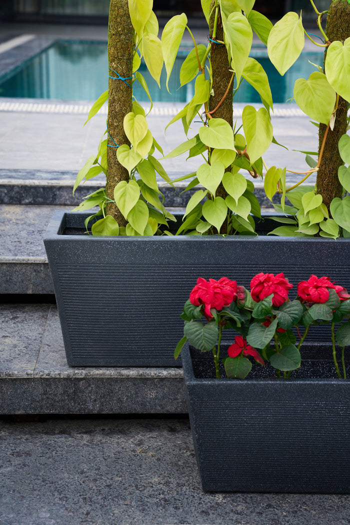 Greenri Vetro Window window planter - product view 5