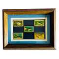 Vintage Fish USA USPS Postage Stamp Metal Lapel Pin Lot Matted & Framed