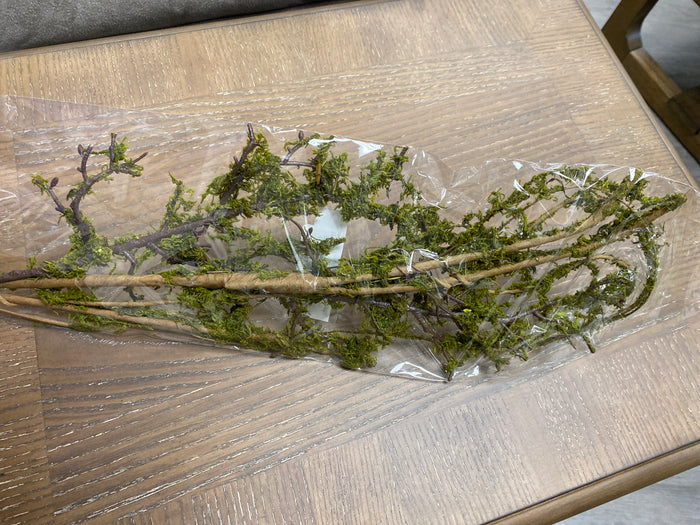 Wild mossed vine branch 38”