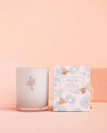 Wish Luminary