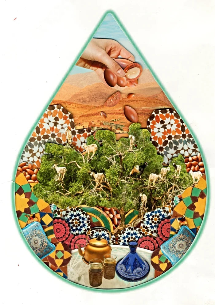 WOO Argan Oil