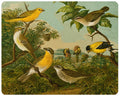 Yellow Birds  Glass Cutting Board: Large Rectangle (12" x 15")